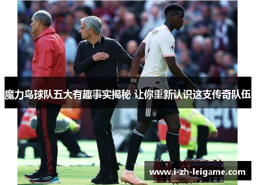 魔力鸟球队五大有趣事实揭秘 让你重新认识这支传奇队伍